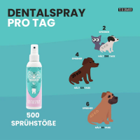 Dentalspray 150 ml